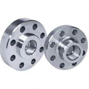 Companion Flange